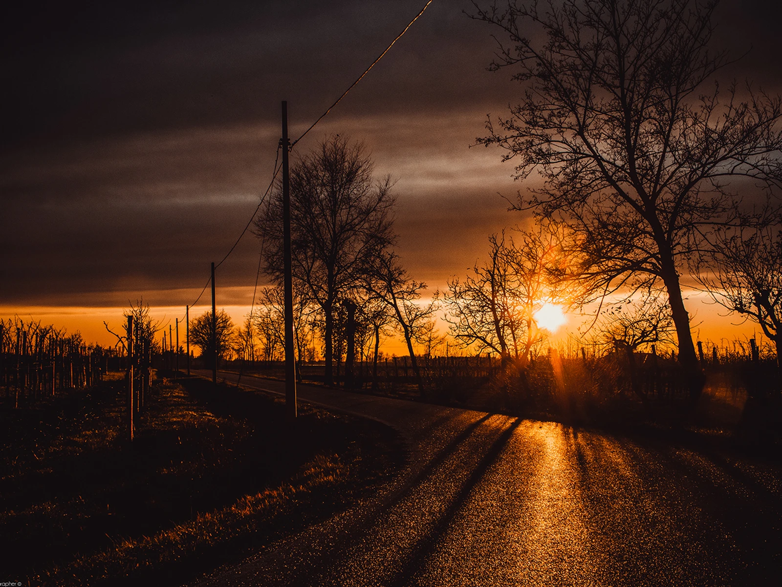 Fotografia dell'inverno - non c'è letargo per l'arte