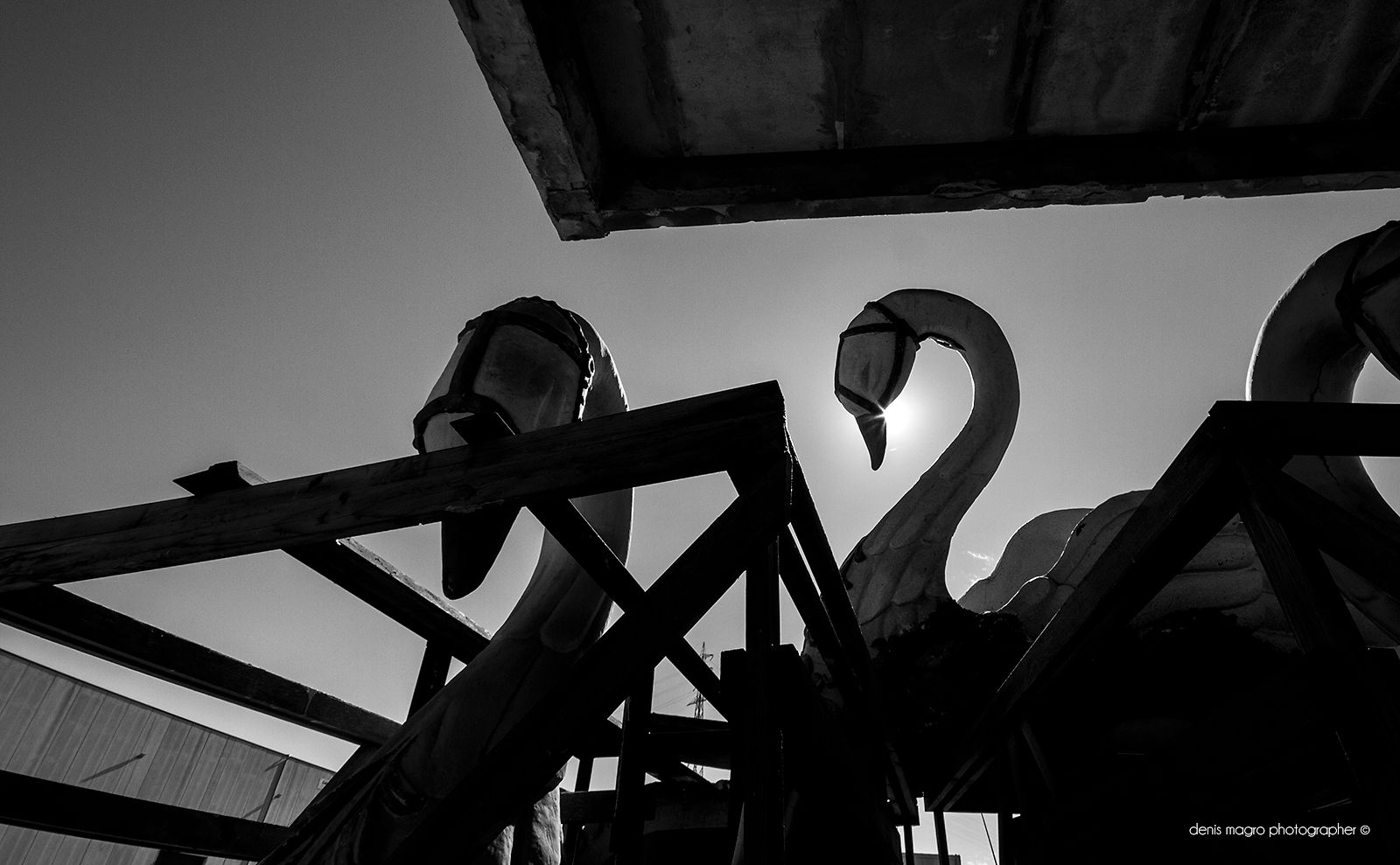 Psico-fotografia / Swan / abandoned places / luoghi abbandonati / Denis Magro