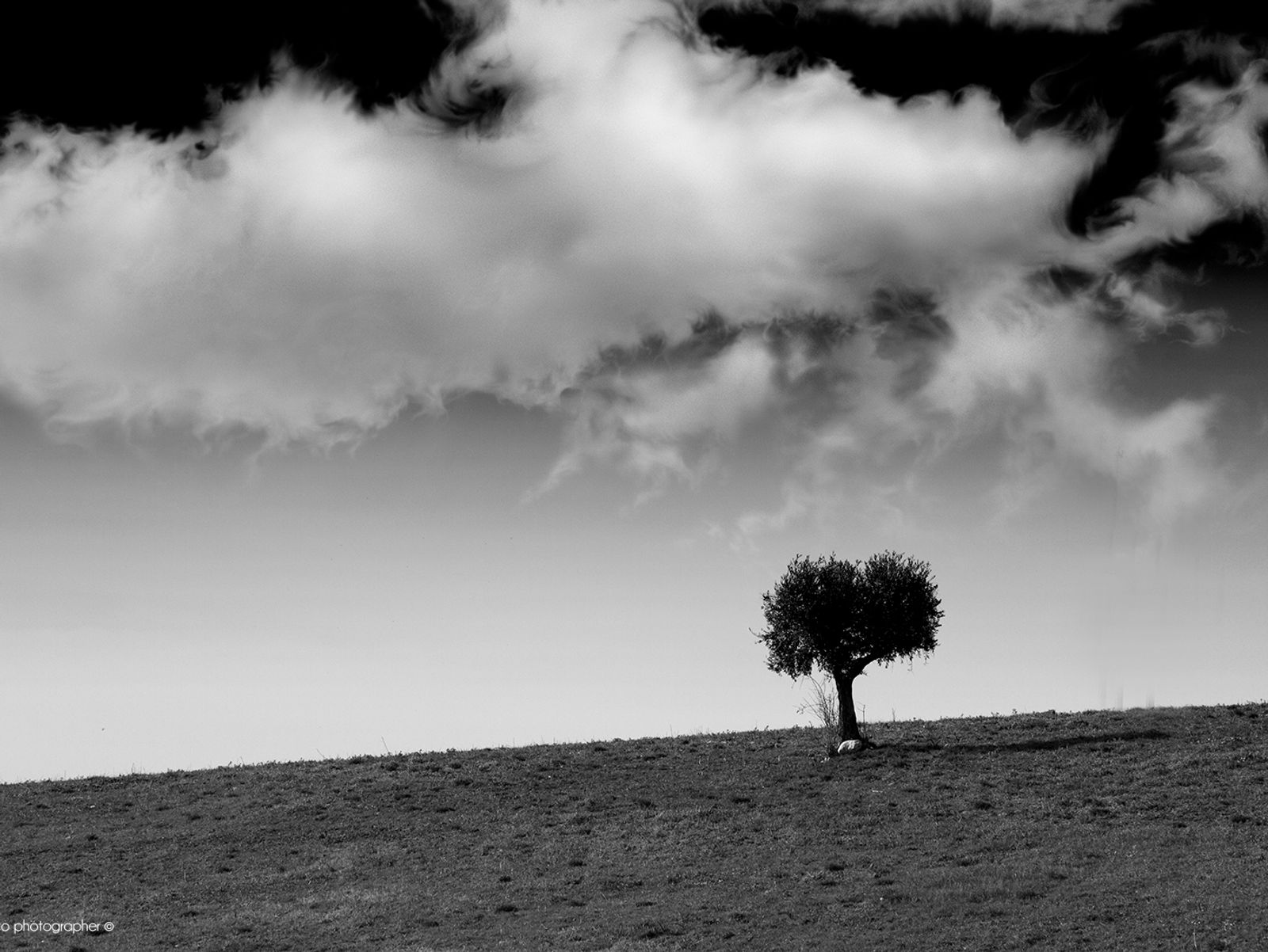 Poesie Visive