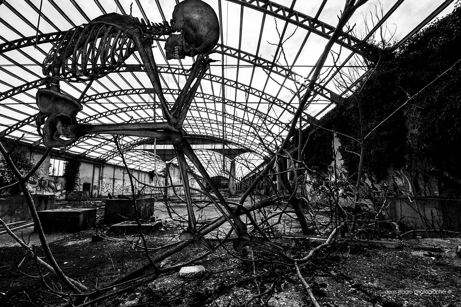 l dolore nell'Arte o l'Arte del dolore?