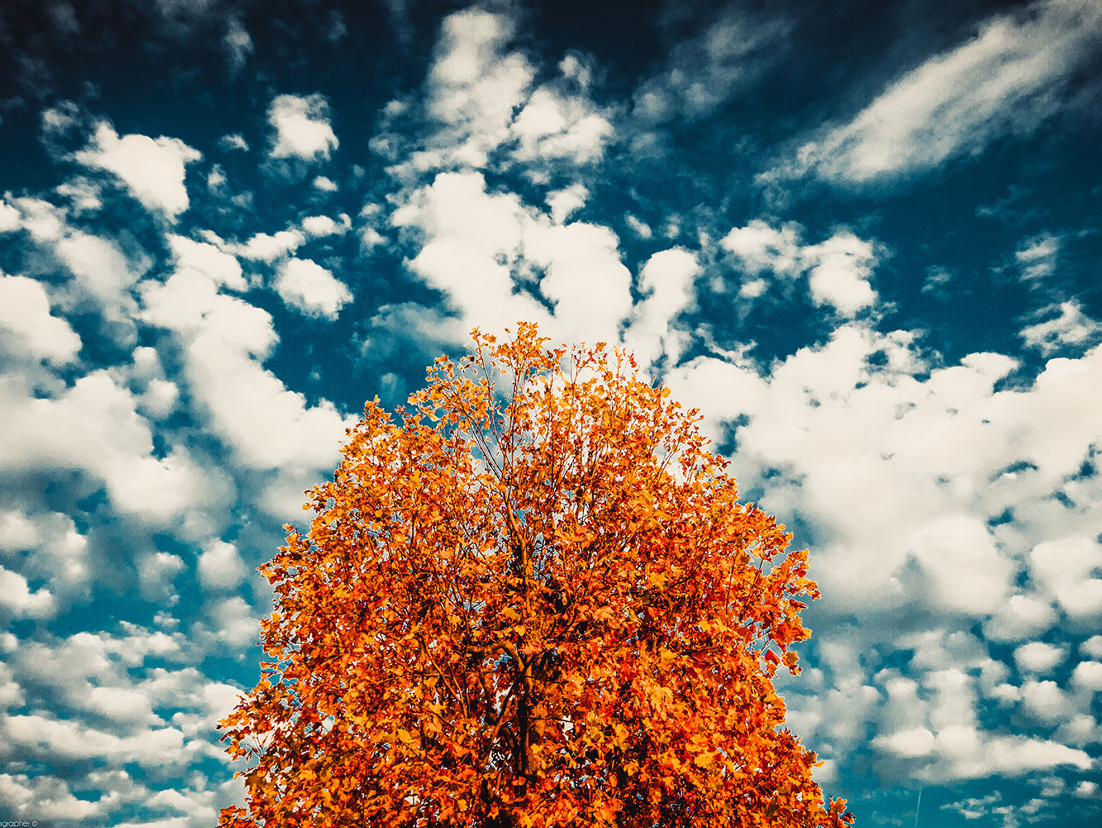 L'Autunno : Fotografie, dipinti e poesie.