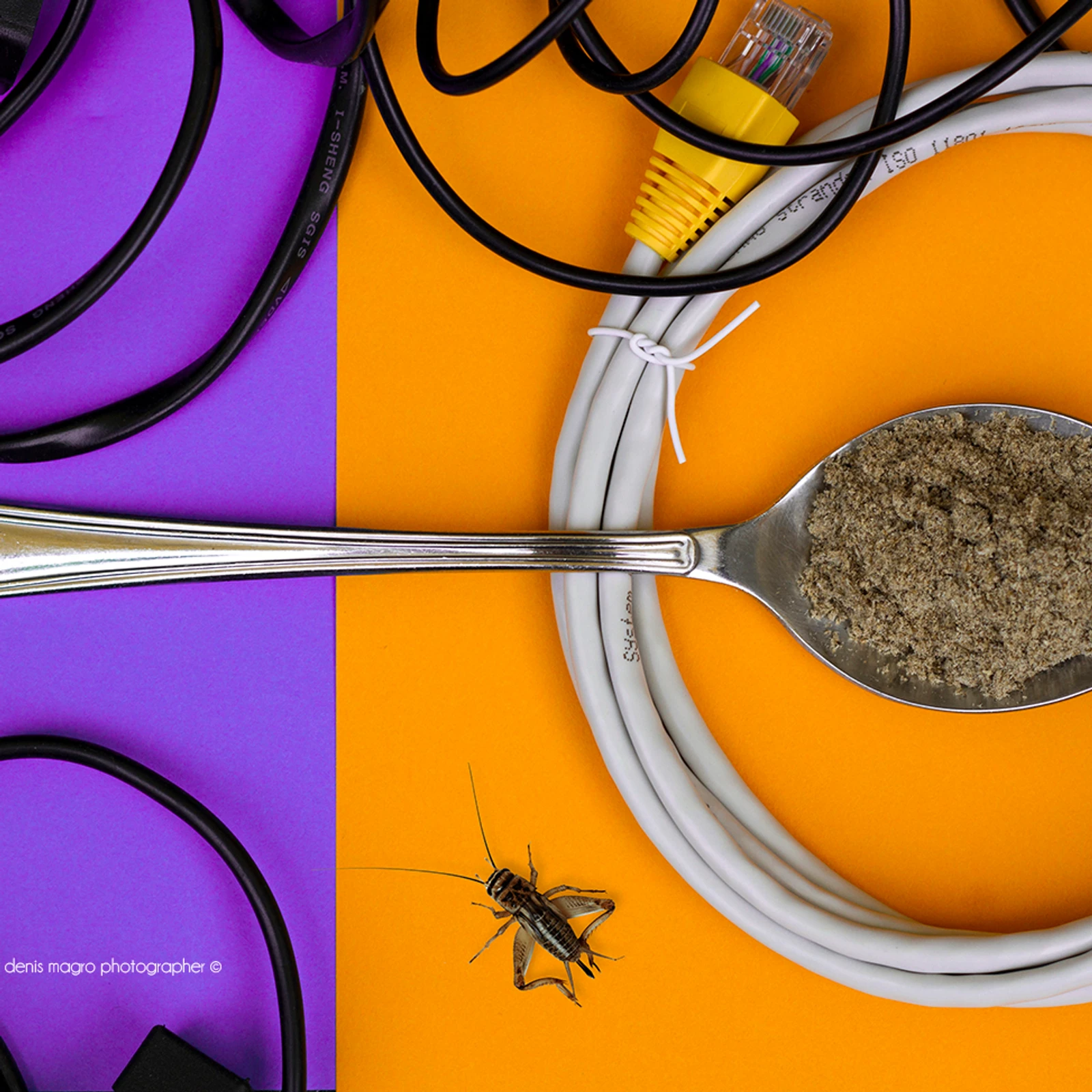 Entofood - Denis Magro