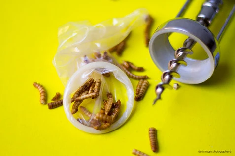 Entofoodvisions