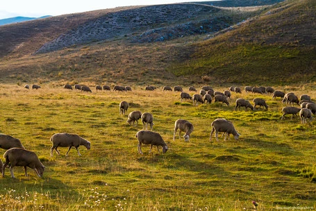 Campo Imperatore
