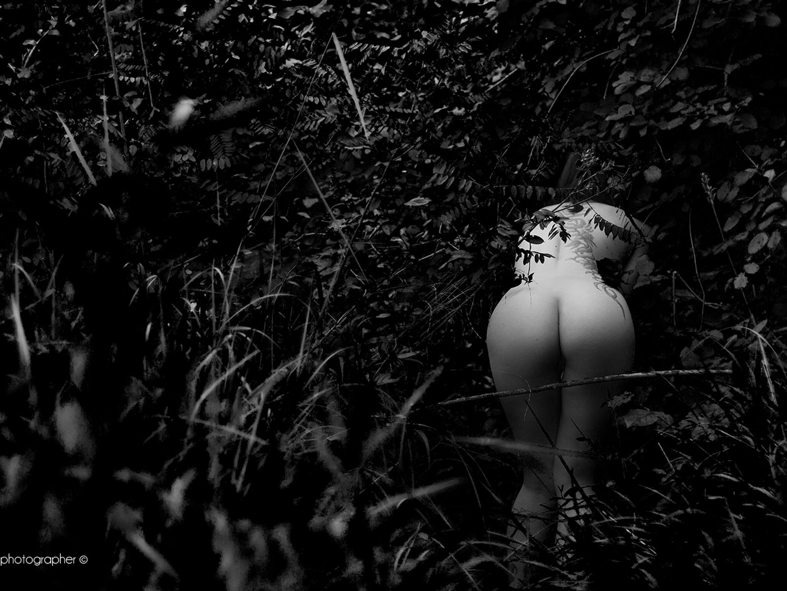 Orgasmi visivi - Viaggio nella fotografia erotica