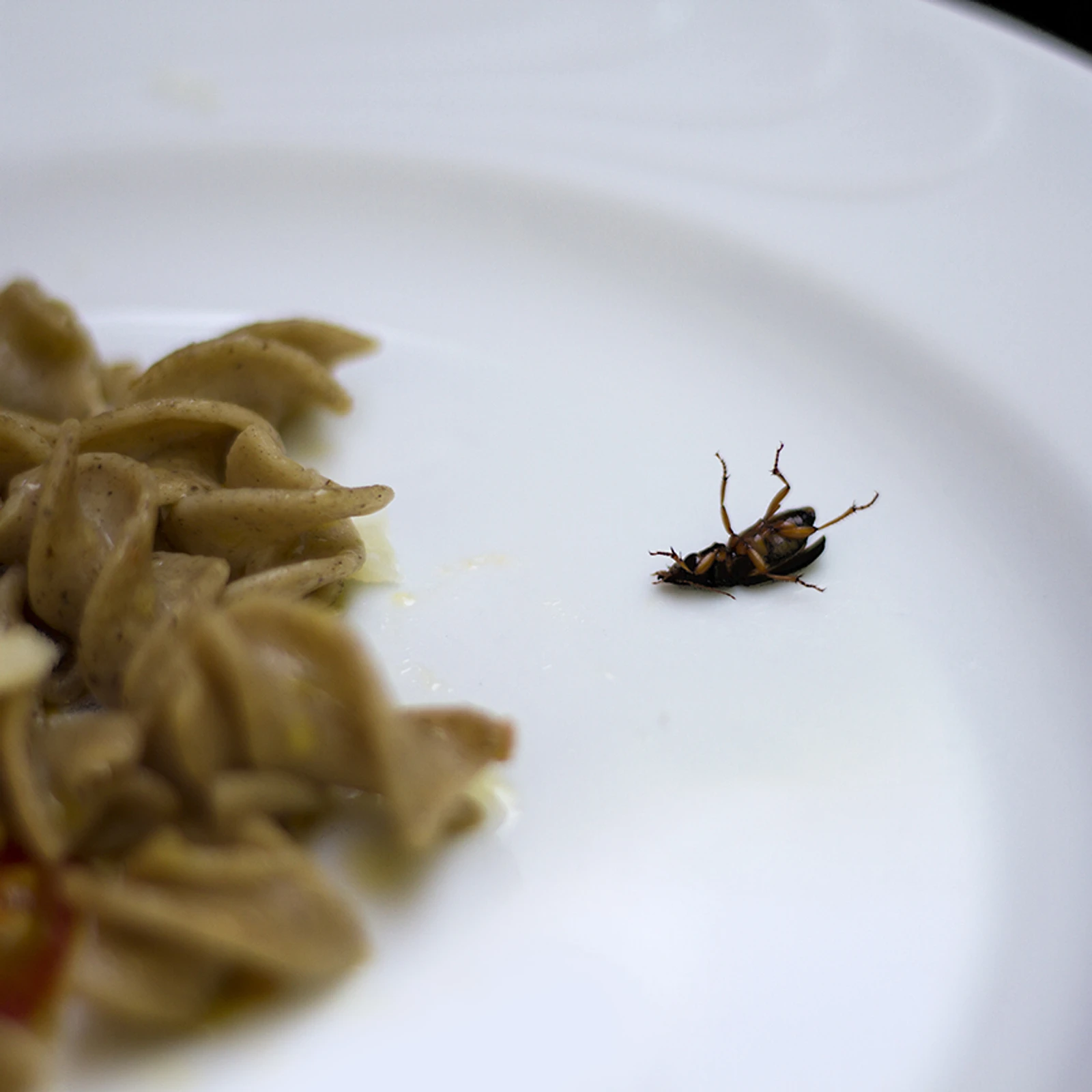 Entofood - Denis Magro