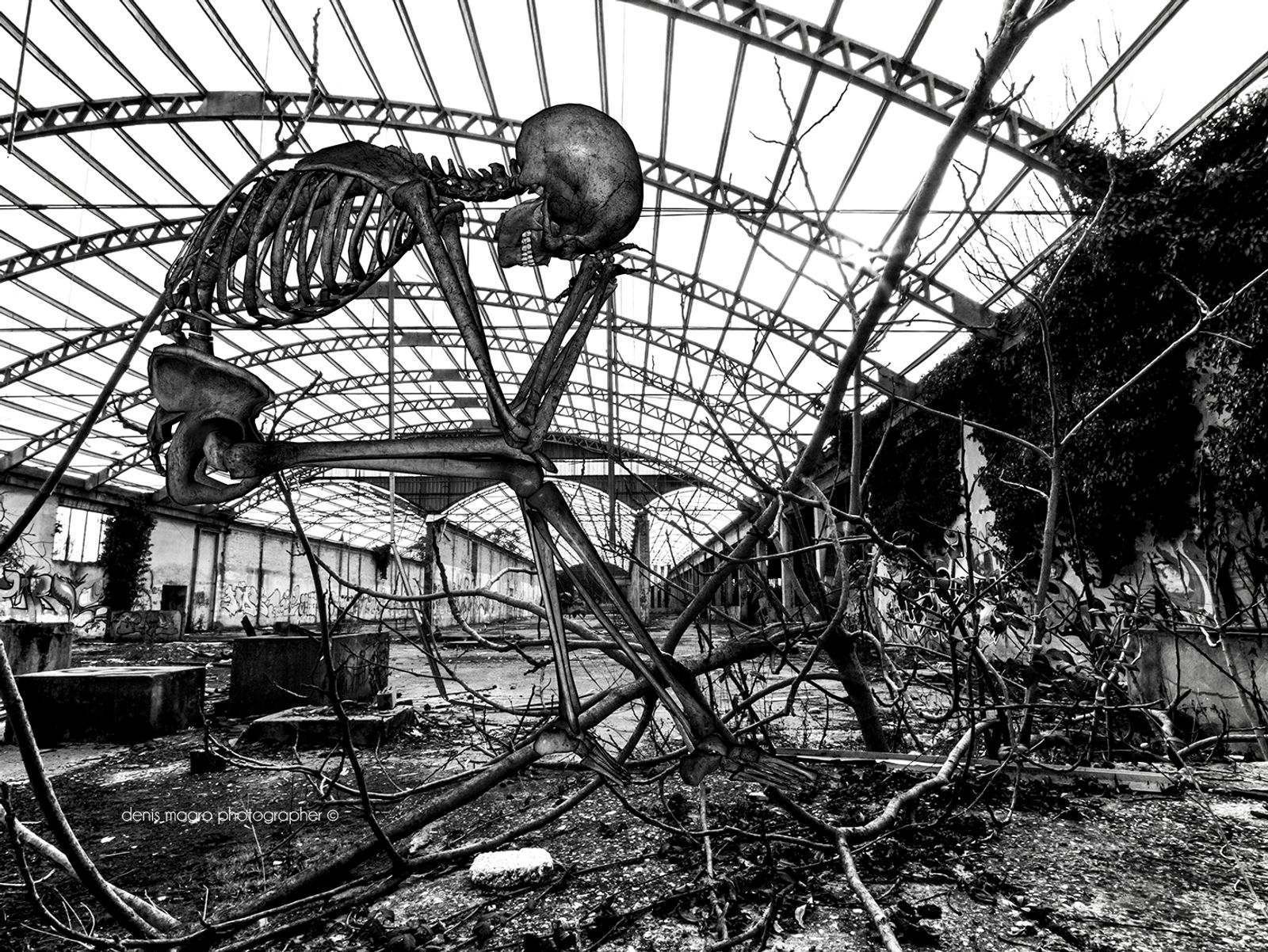 Il dolore nell'Arte o l'Arte del dolore?
