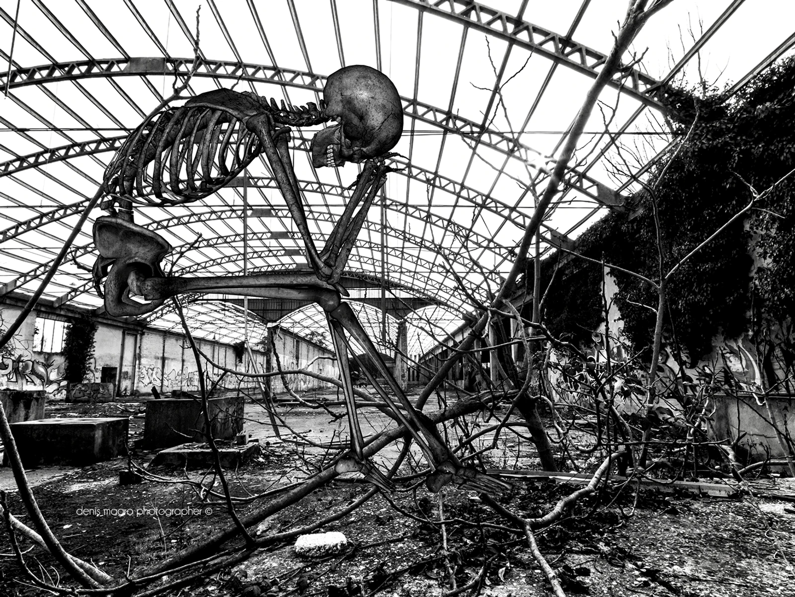 Il dolore nell'Arte o l'Arte del dolore?