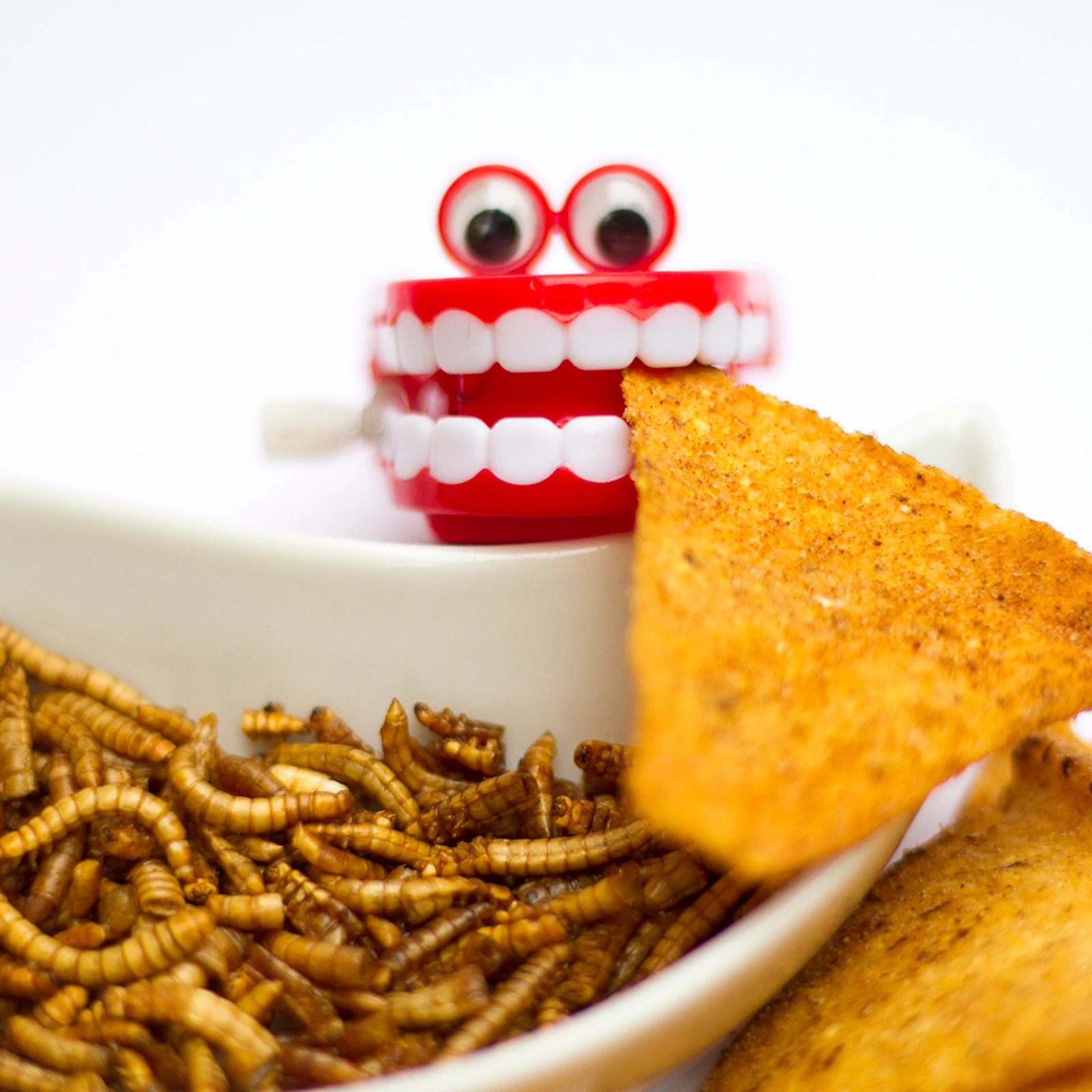 snack denis magro.jpg