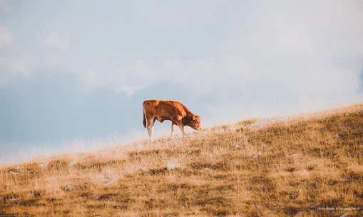Campo Imperatore