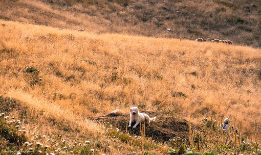 Campo Imperatore