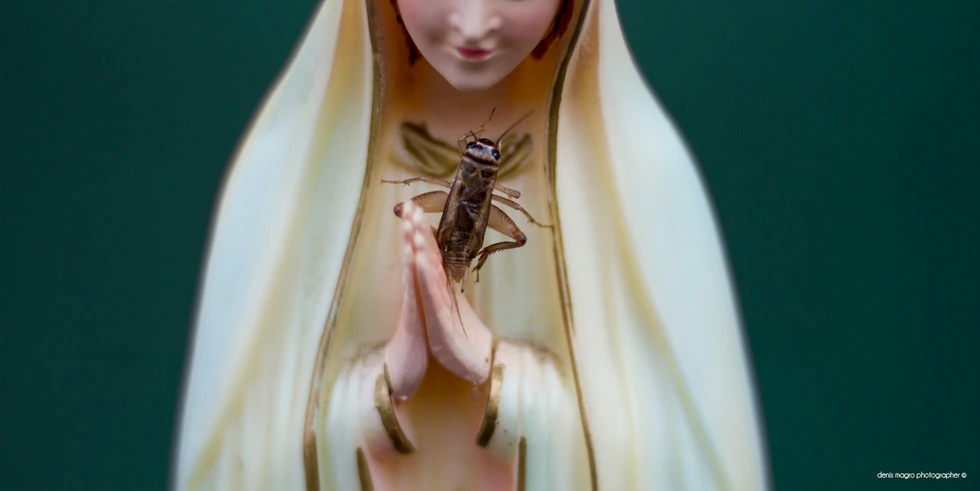 Entofoodvisions