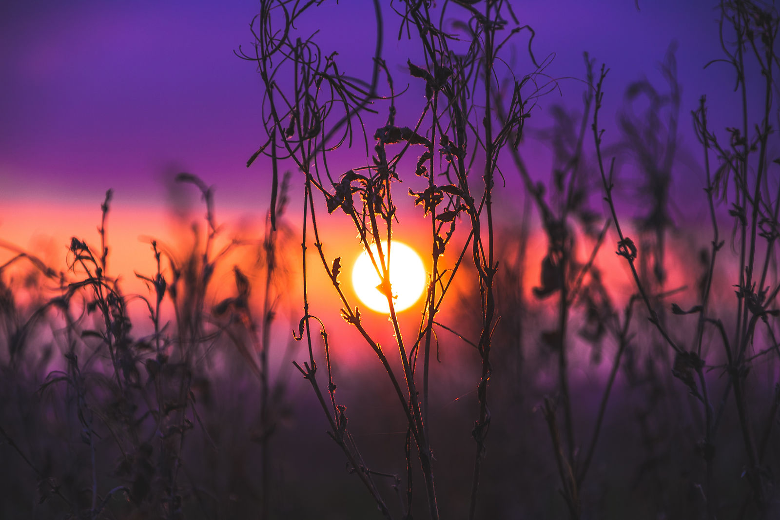 Image by Jack B